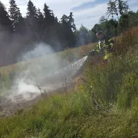 brandstbaeumel.jpg