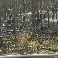 waldbrand01.png