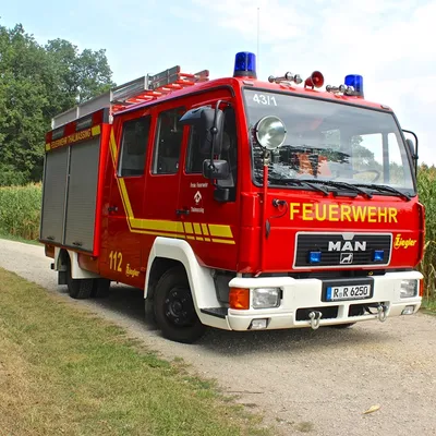 fzg06.jpg