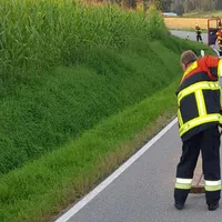 dunzl.jpg