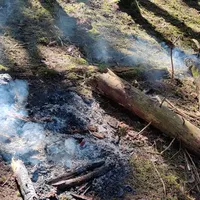 2021-04-26-flachenbrand.jpg