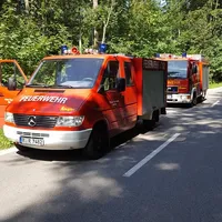 oelspurduenzlingii.jpg