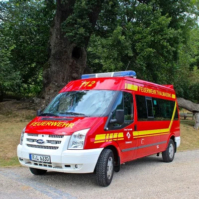 fzg02.jpg