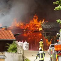 brandlichtinger_18.jpg